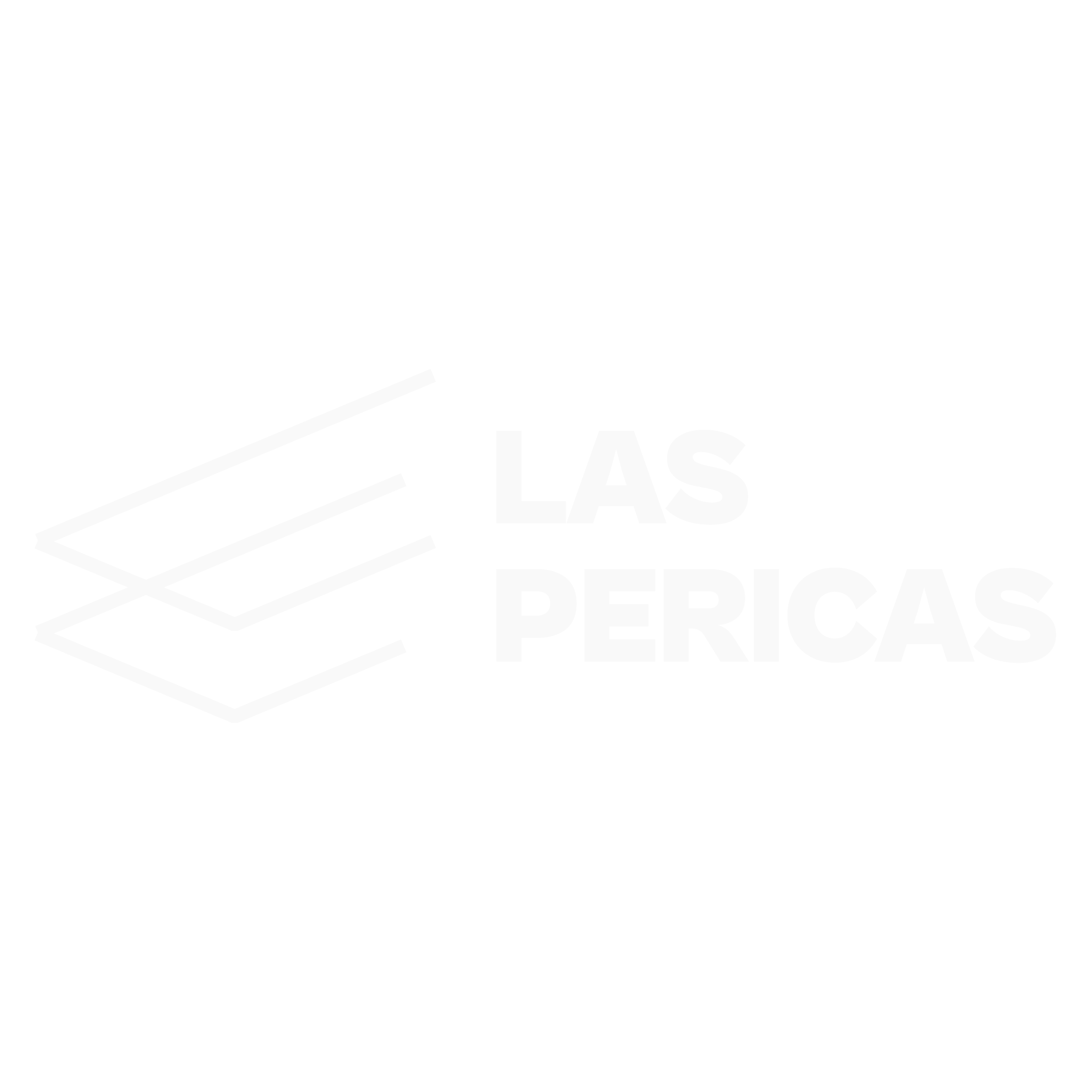 LOGO GRIS